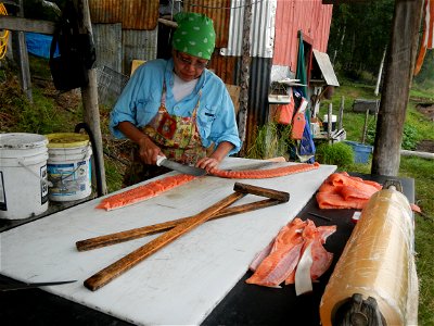Kathleen_cutting_salmon