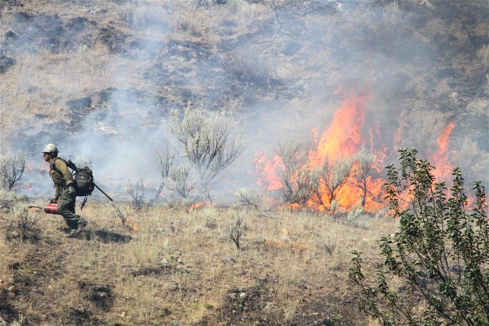 Moose Fire, Alta IHC