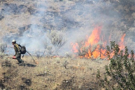 Moose Fire, Alta IHC