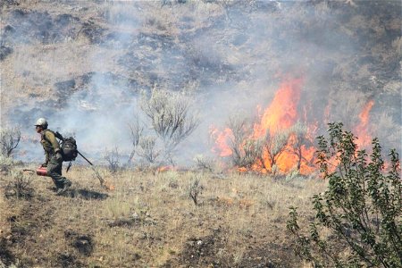 Moose Fire, Alta IHC photo