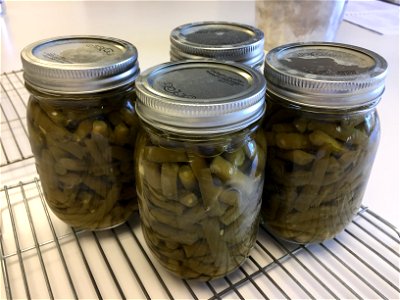 Home canned green beans photo