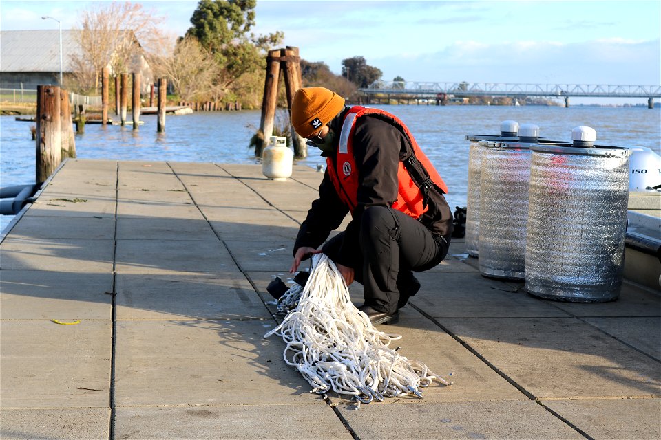 Delta smelt experimental release