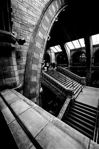 _DSC0398