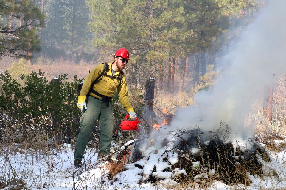 Charcoal Gulch Pile Burn, Idaho City
