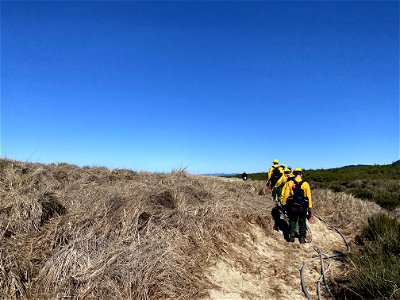 Siuslaw Oregon Dunes Prescribed Burn 2022 photo