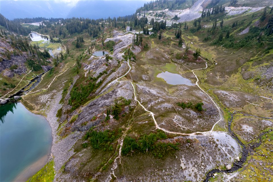 Fire and Ice Tr-before-Visitor Ctr area trails-impacts-Heather Meadows-Mount Baker-5