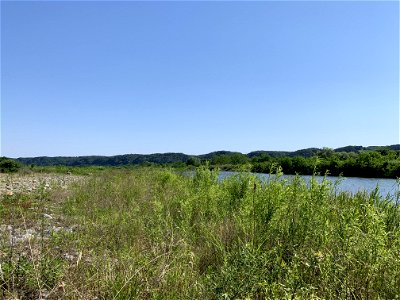 Tama River in Ogawa, Akiruno-shi
