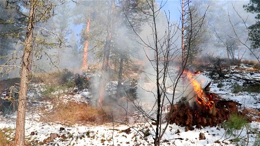 Charcoal Gulch Pile Burn, Idaho City
