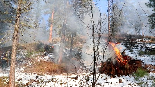 Charcoal Gulch Pile Burn, Idaho City photo