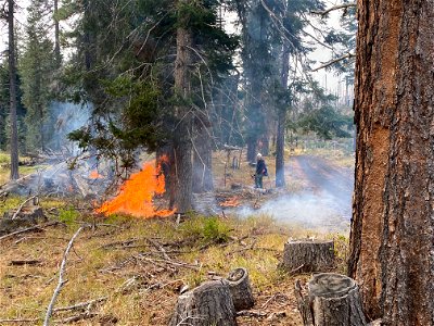 20211013-GP-Upper White River Restoration Area controlled burn, photos courtesy of Mt. Adams Resource Stewards.
