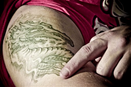 Dragon Tattoo-3 photo