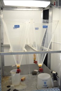 Sturgeon Streamside Rearing Unit