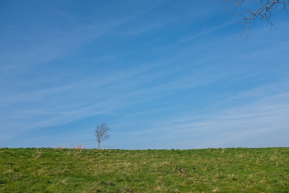 Minimal Blue Sky photo