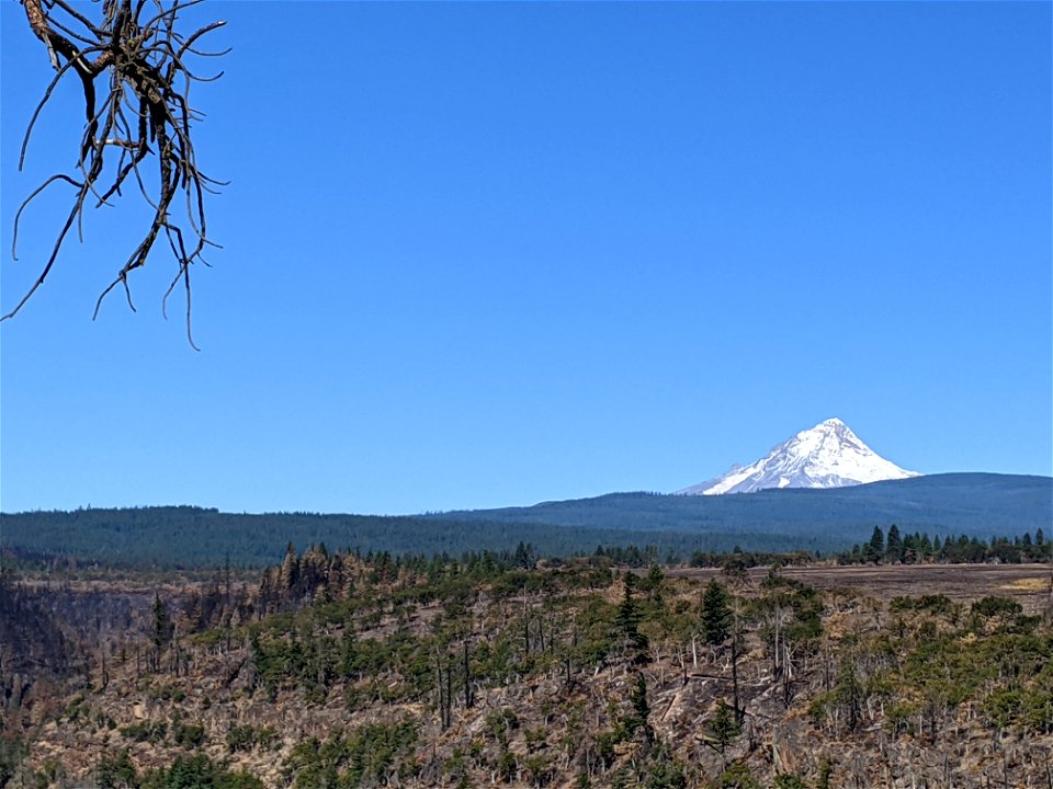 2021 BLM Fire Employee Photo Contest Category: The Land We Protect