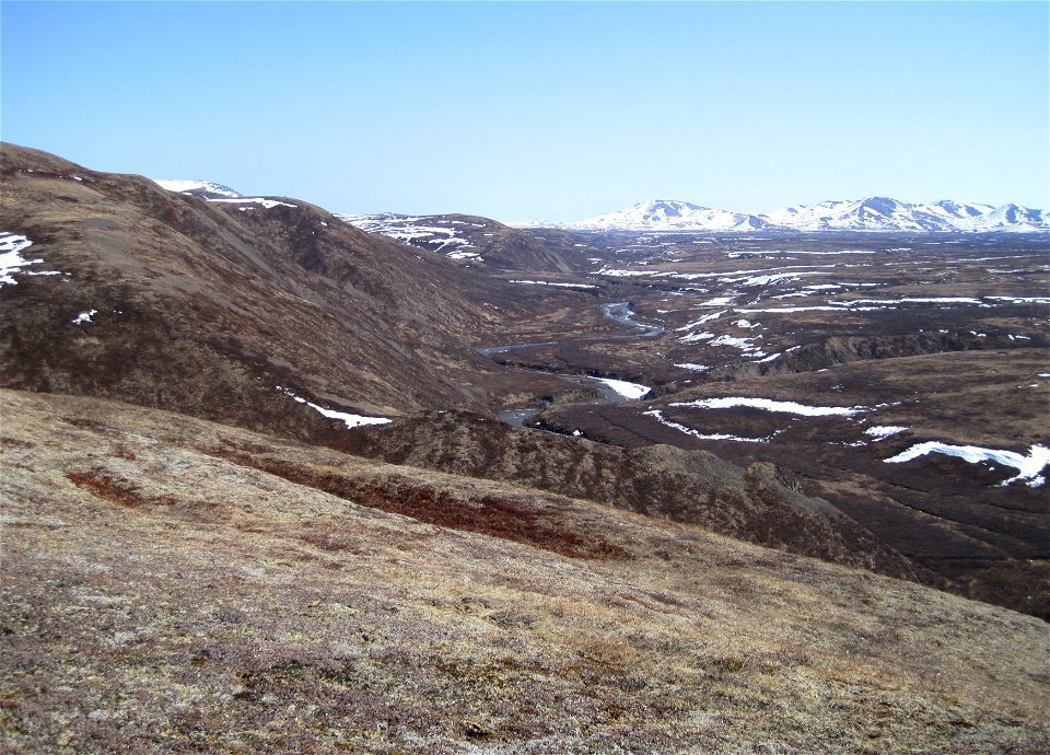 Kilbuck Mountains