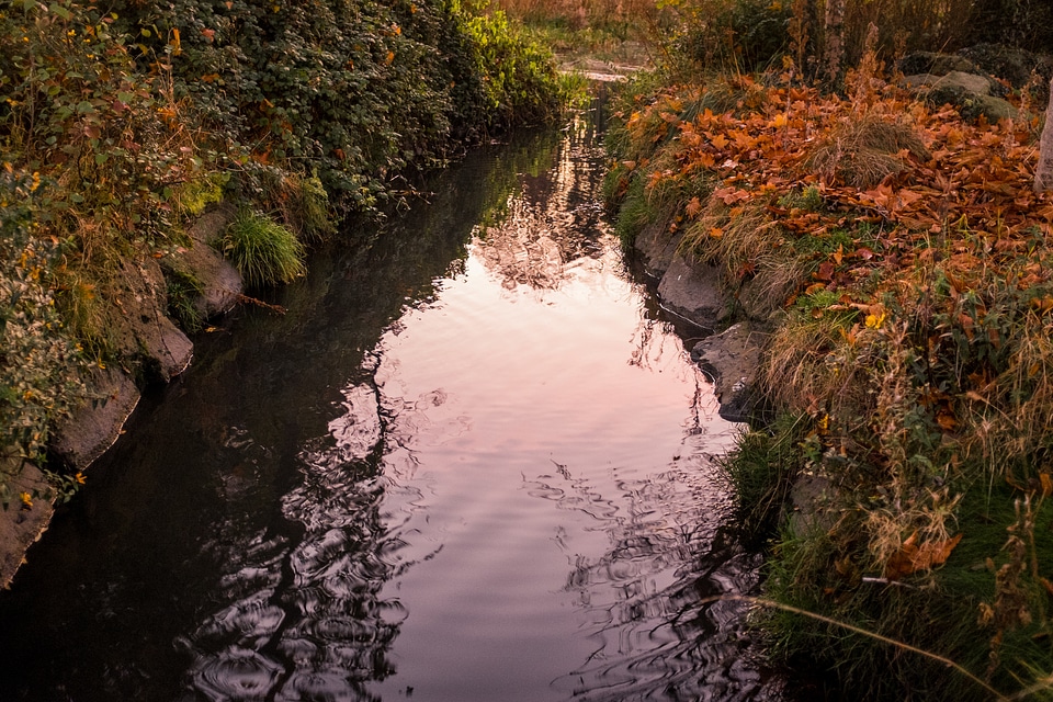 Autumn Leaves River Reflection photo