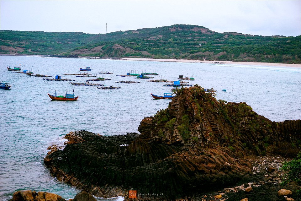 DSC00935