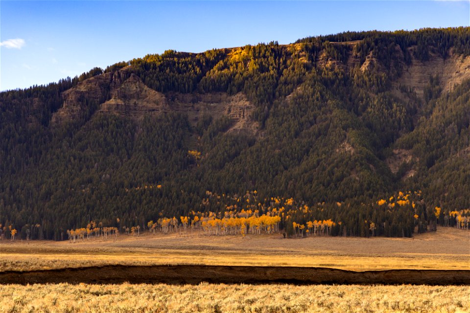 Fall color in Lamar Valley photo