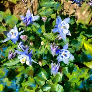 floral_DAP_Gruppe4