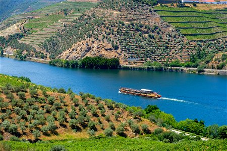 Landscape of Douro Valley