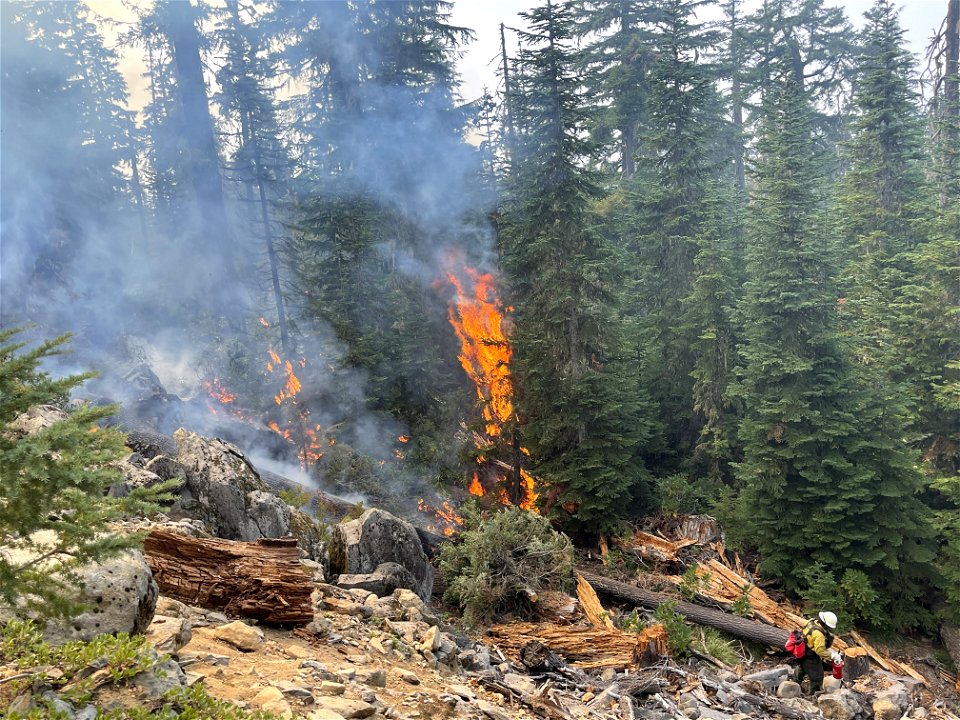 SingleTreeTorching CedarCrkFire 220907