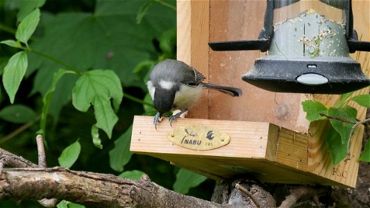 Alleine fressen macht auch satt!
