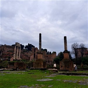 Line of columns that were memorials Roman Forum Rome Italy