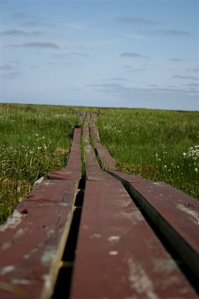 Boardwalk photo