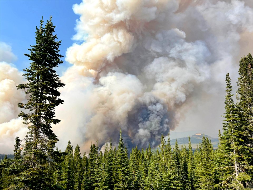 Balsinger Fire in Divide Complex
