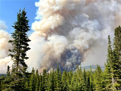Balsinger Fire in Divide Complex