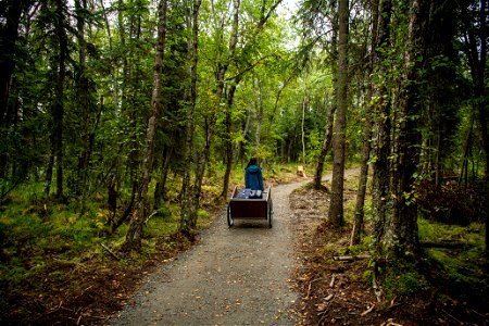 The trail leading to the campground- Photo courtesy of C. Chapman