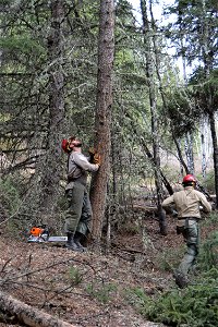 Critical 80 Training