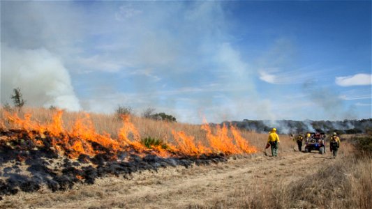 Fuels Management - USFWS 2022 Photo/Video Contest