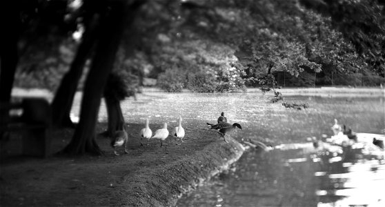 Fascination for the other side