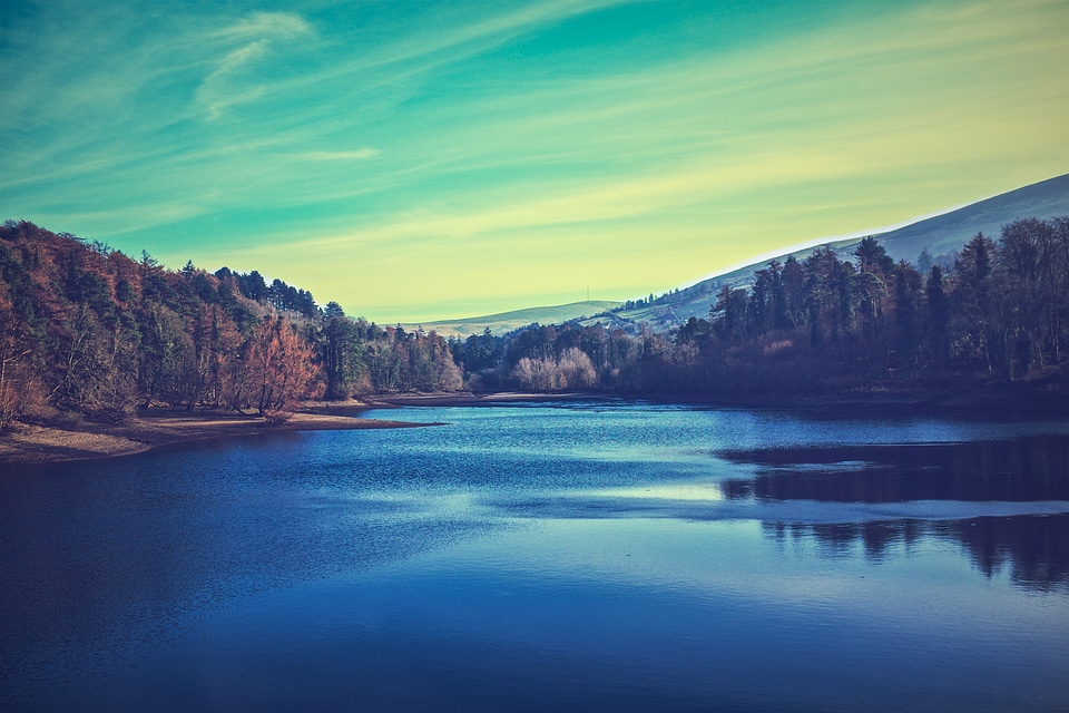 A Lake In A Forest photo