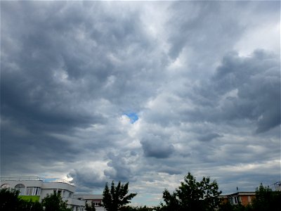 nori-sediu2015_0526_164922