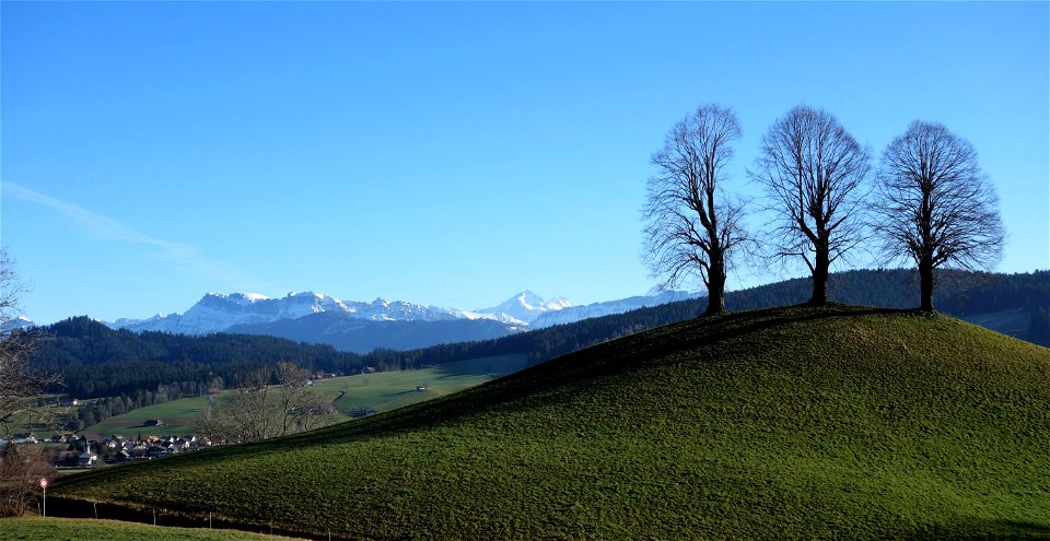 DSC04658