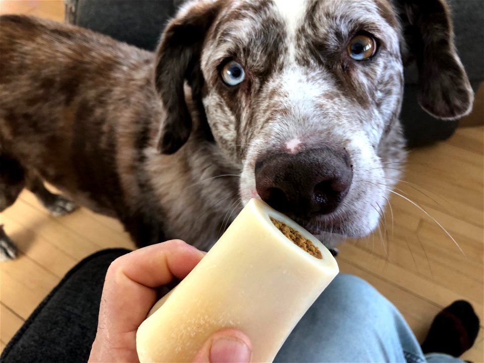 I get TWO Bones for Xmas?