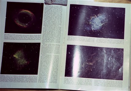 macro-SciAmerican (2)