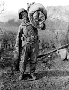SC 374757 - It's a load for 98 lb. Pfc. Colon F. Price, Great Falls, S. Car., but he's glad to leave after 23 days up front under enemy observation. His outfit will leave under cover of darkness, just as they took up their position.