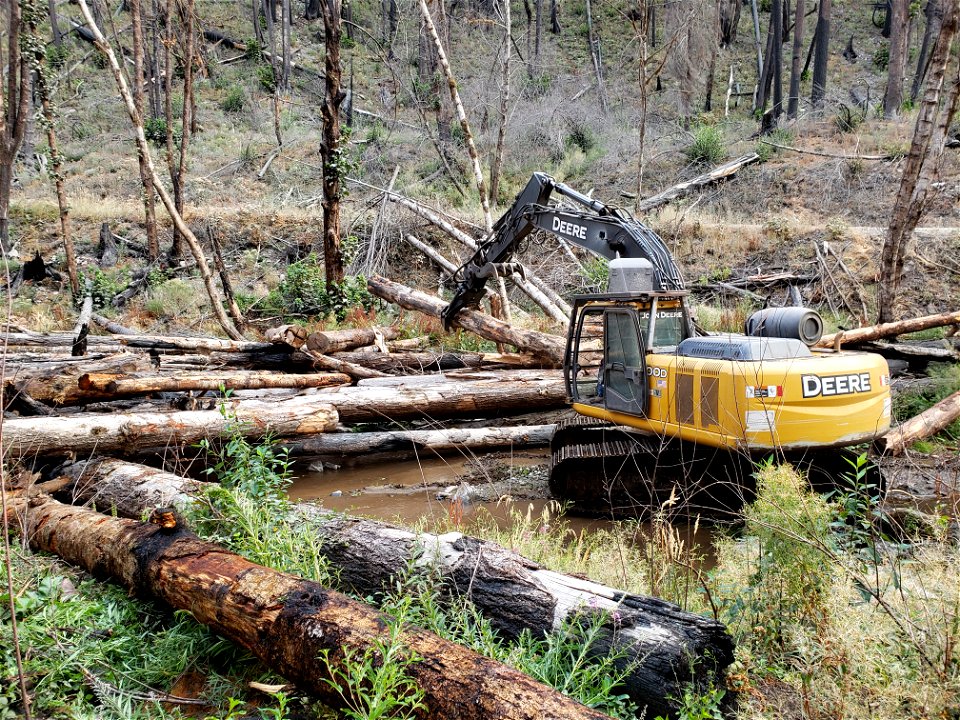 Placing LWD from the perspective of the riparian area