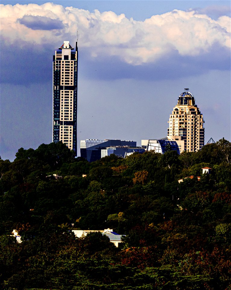 Sandton in Autumn Splendour