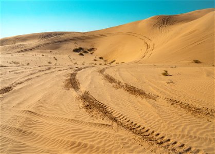 Imperial Sand Dunes photo