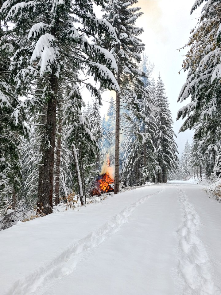 Pile burning on the Gifford Pinchot National Forest on Nove 30, 2022. Snowy conditions reduce the risk of fires escaping safety perimeters while still allowing burn objectives to be accomplished.