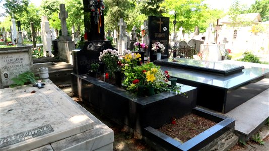 Bellu_cemetery (6)
