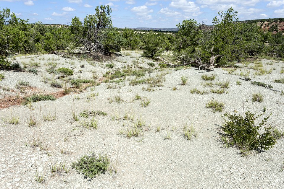 Near Cañada Bonita