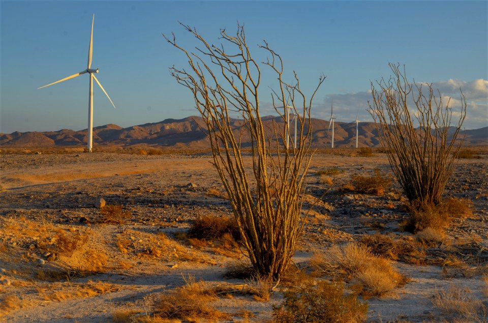 Plaster City Open OHV Area