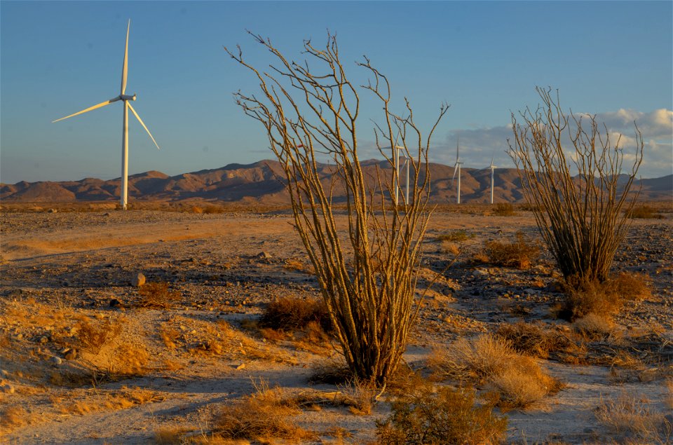 Plaster City Open OHV Area photo