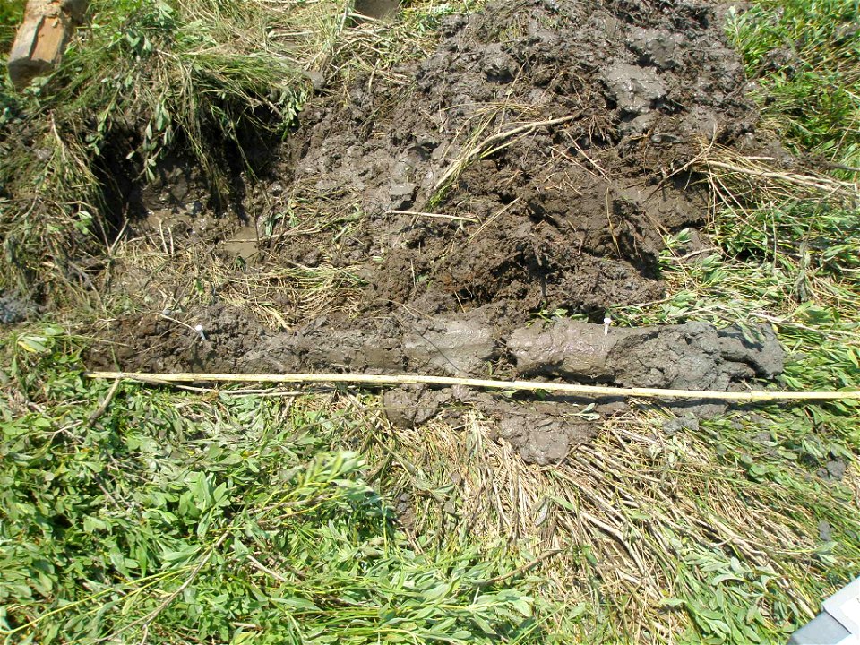 soil profile NWCA11-2038_05.26