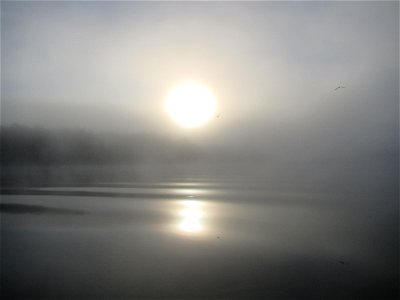 Foggy Morning on the River photo